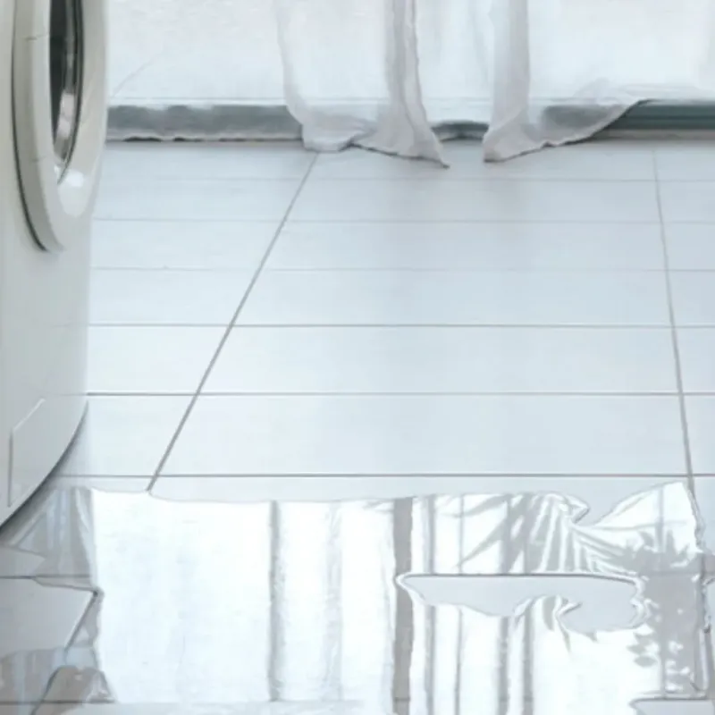 Appliance Leak Cleanup in Fox Lake Hills, IL