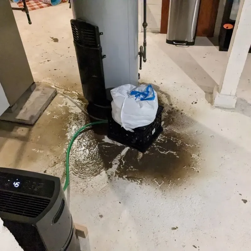 Sewage Backup Cleanup Service in Fox Lake Hills, IL